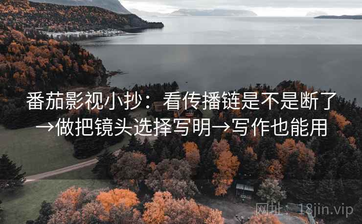 番茄影视小抄：看传播链是不是断了→做把镜头选择写明→写作也能用  第2张
